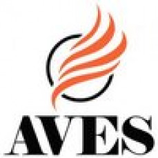 Cовременные камины Aves