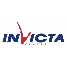 Каминные топки Invicta