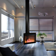 Камин Гела (Aves)