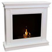 Биокамин Селена (FireBird)