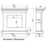 Чертеж Биокамин Олимпия (FireBird)